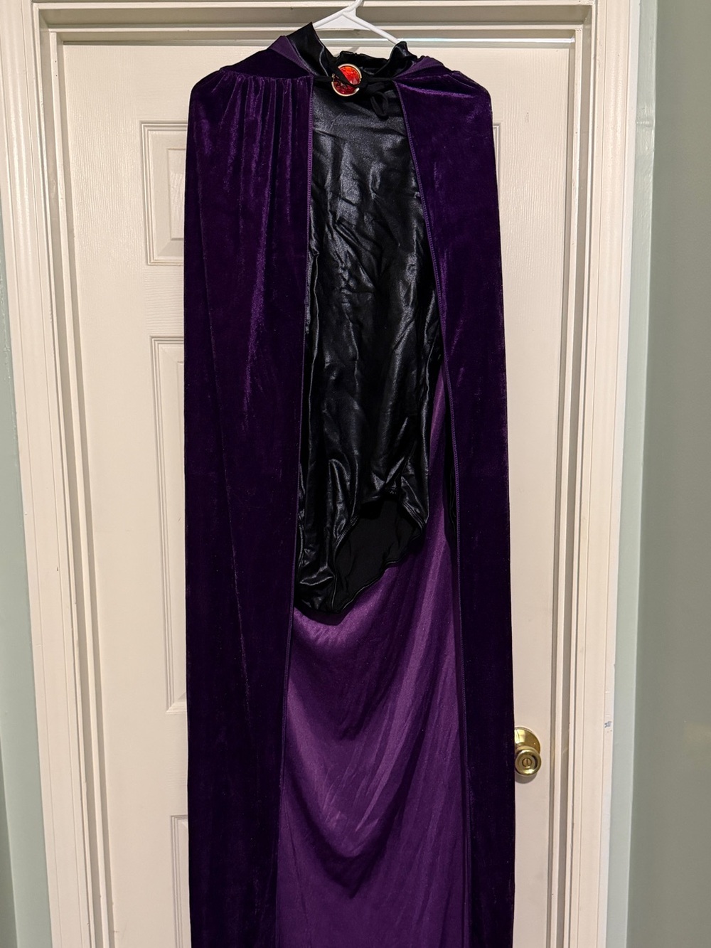 raven costume